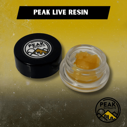 Party Girl 5g Live Resin
