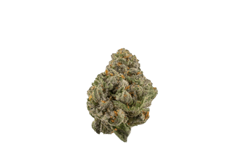 Gelato 41 - LL - 3.5G