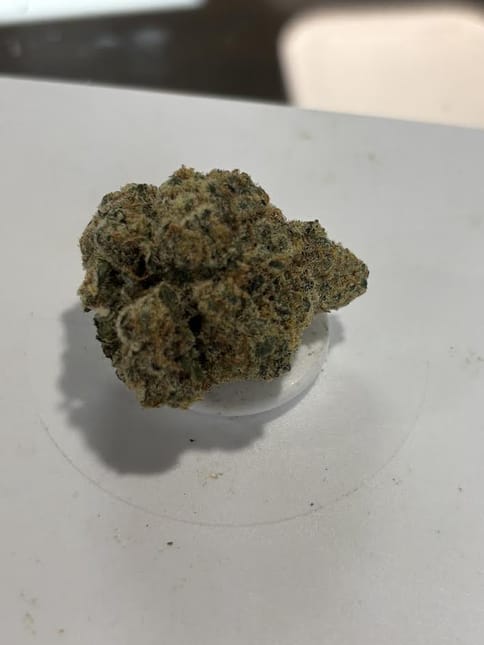 Lit | Blue Garlic
