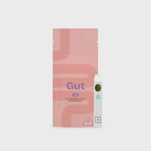 Curio - 1g AIO Vape - Gut