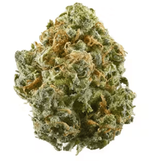 Nuclear Cookies Deli Flower