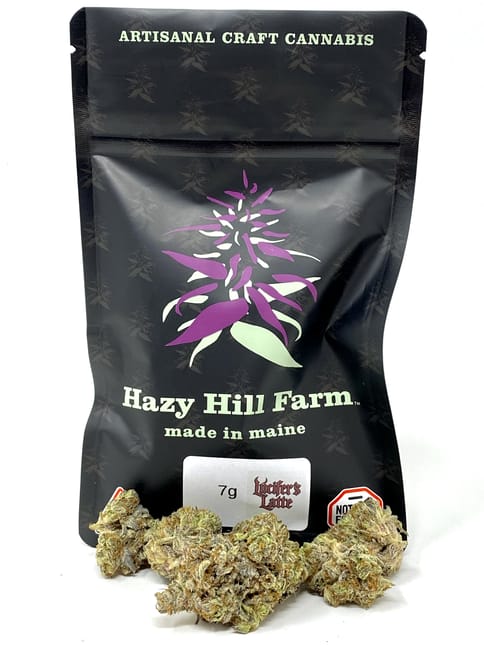 Hazy HIll Farm | 7g Big Buds- Lucifer’s Latte