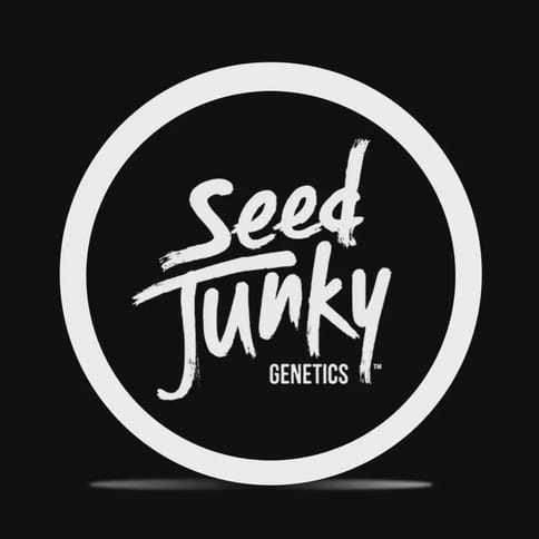 Seed Junky | Caffeine (S) | 14g Indoor Flower Smalls