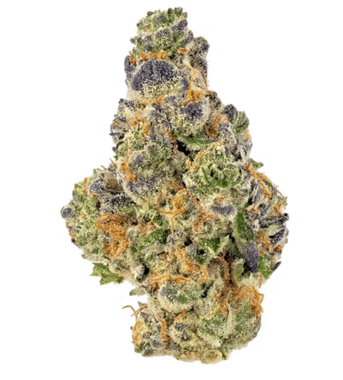 Flower| 3.5g | Hybrid | Lemon Cherry Sherbert