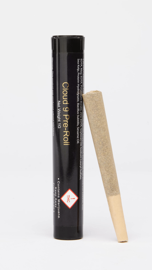 Cloud 9 | Oreo Blizzard | IH | Pre-Roll | 1G